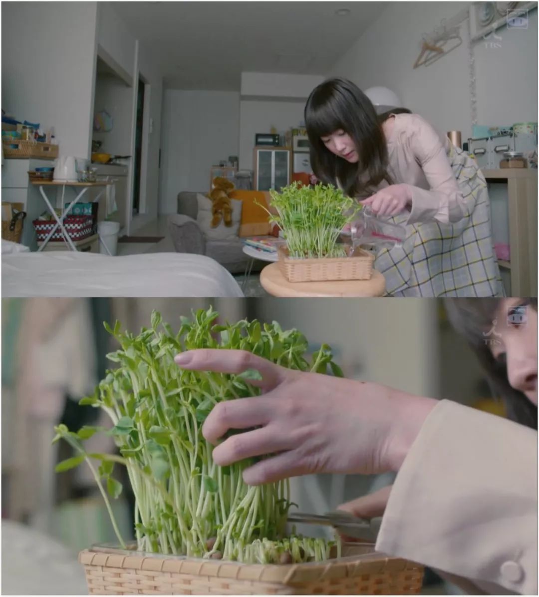 上半年值得期待的新剧,2020豆瓣9.8分以上的剧集