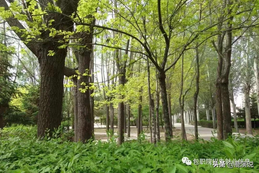 包头职业技术学院招生信息网,包头职业技术学院招生信息网官网