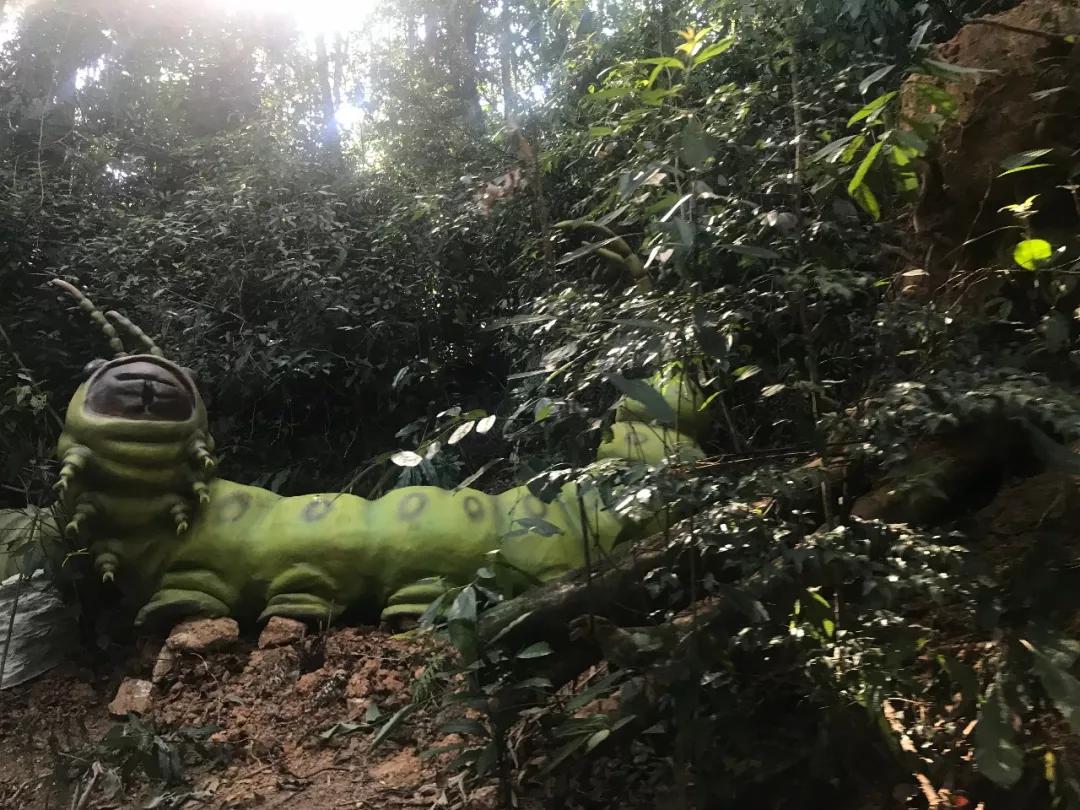 有玩有吃的礼物,有玩有吃的旅游景点