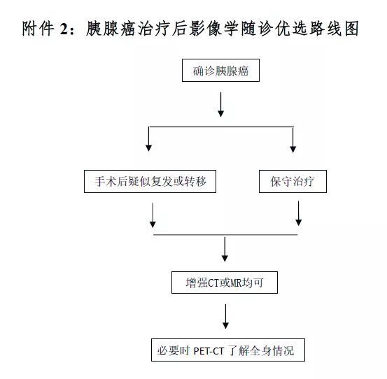 csco胰腺癌诊疗指南原文,胰腺癌诊疗规范2021