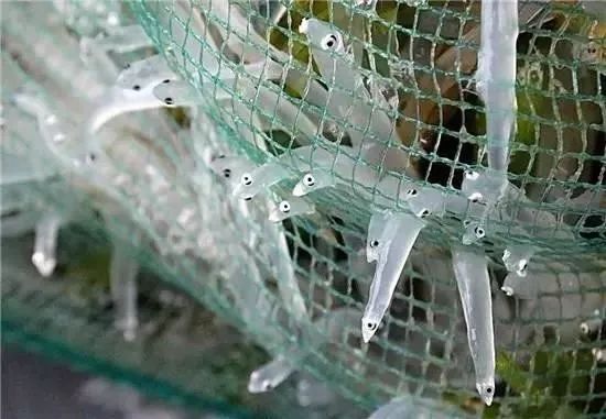 知道家乡的特产怎么发朋友圈,知道自己地区的特产吗