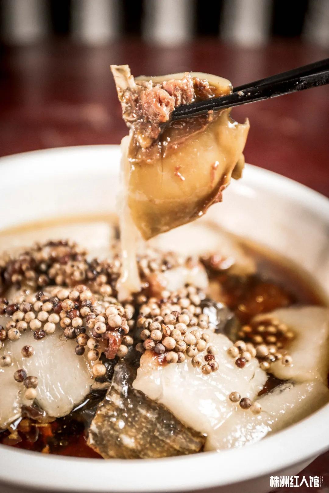 神经哥回归过程,神经哥原唱歌曲