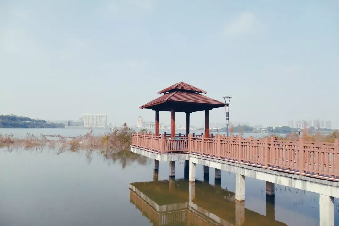 福永地方,这里是深圳宝安