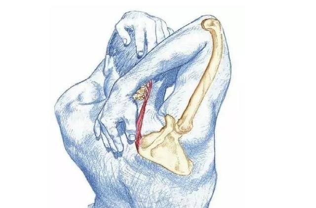 通过瑜伽可以改善哪些方面,常练瑜伽的你知道如何让身体恢复