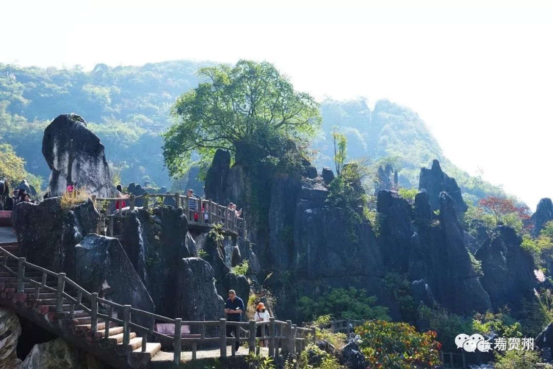 【“一会一节”探秘】什么?贺州居然有条“钻石”线路