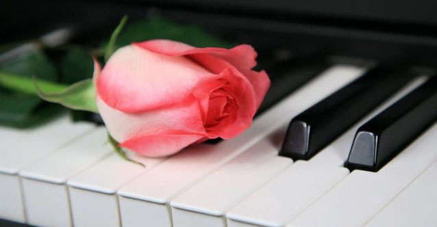 日本二手钢琴价格,为什么日本二手高端琴才卖几千