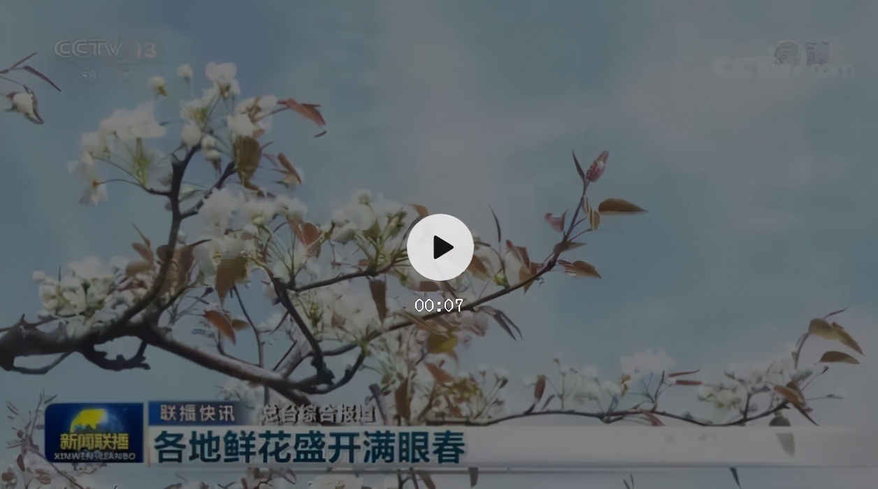 被央视打卡的梨花胜境，千亩白瓣状似雪花，济南莱芜区还有这些国家级景区不容错过！