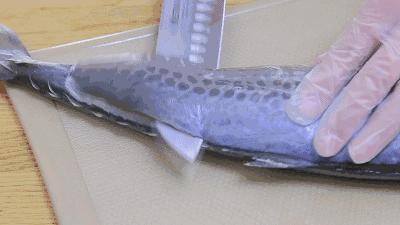 均温20℃的海滨老城，紫色泡桐花美得像国外，现在去性价比超高