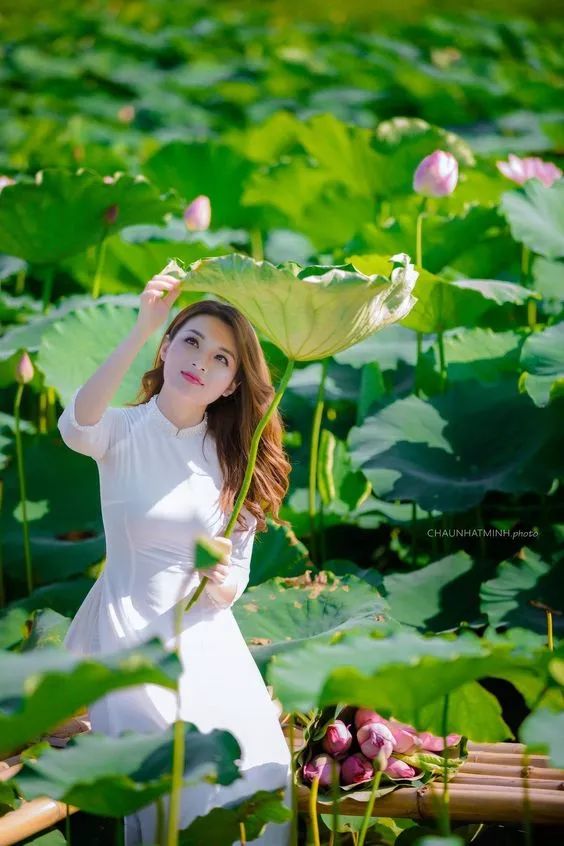 100个惊艳的美人盘点,中国最美的50个美人