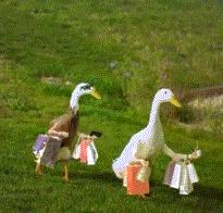 新娘跟妆行李箱装什么,新娘的购物清单