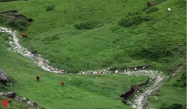 内蒙呼和浩特市内游,五一内蒙古呼和浩特及周边游