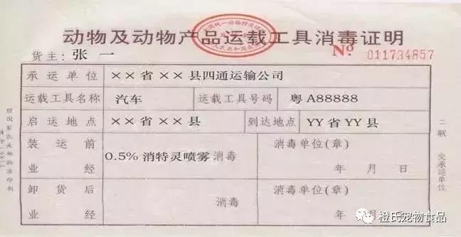 专业宠物托运飞机怎么带小狗,宠物托运需要宠物满足什么条件