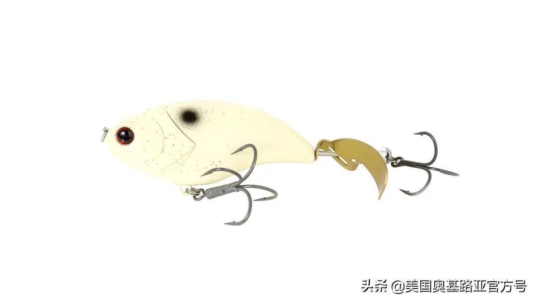 2024全国渔具展会一览表最新,2022年全国渔具展在哪