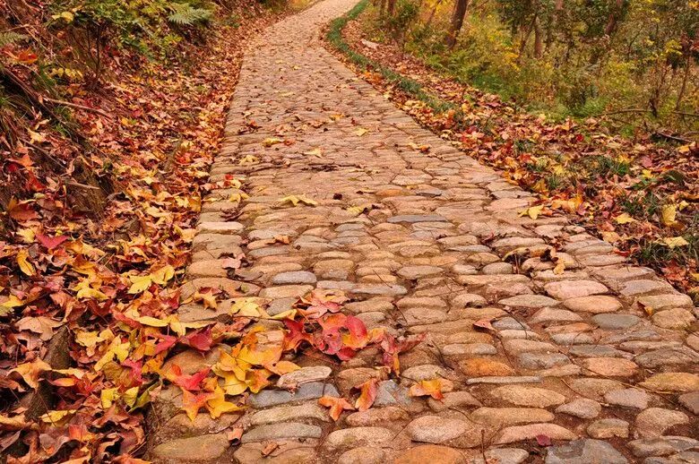 爬完所有雪山就释怀,爬完所有的名山