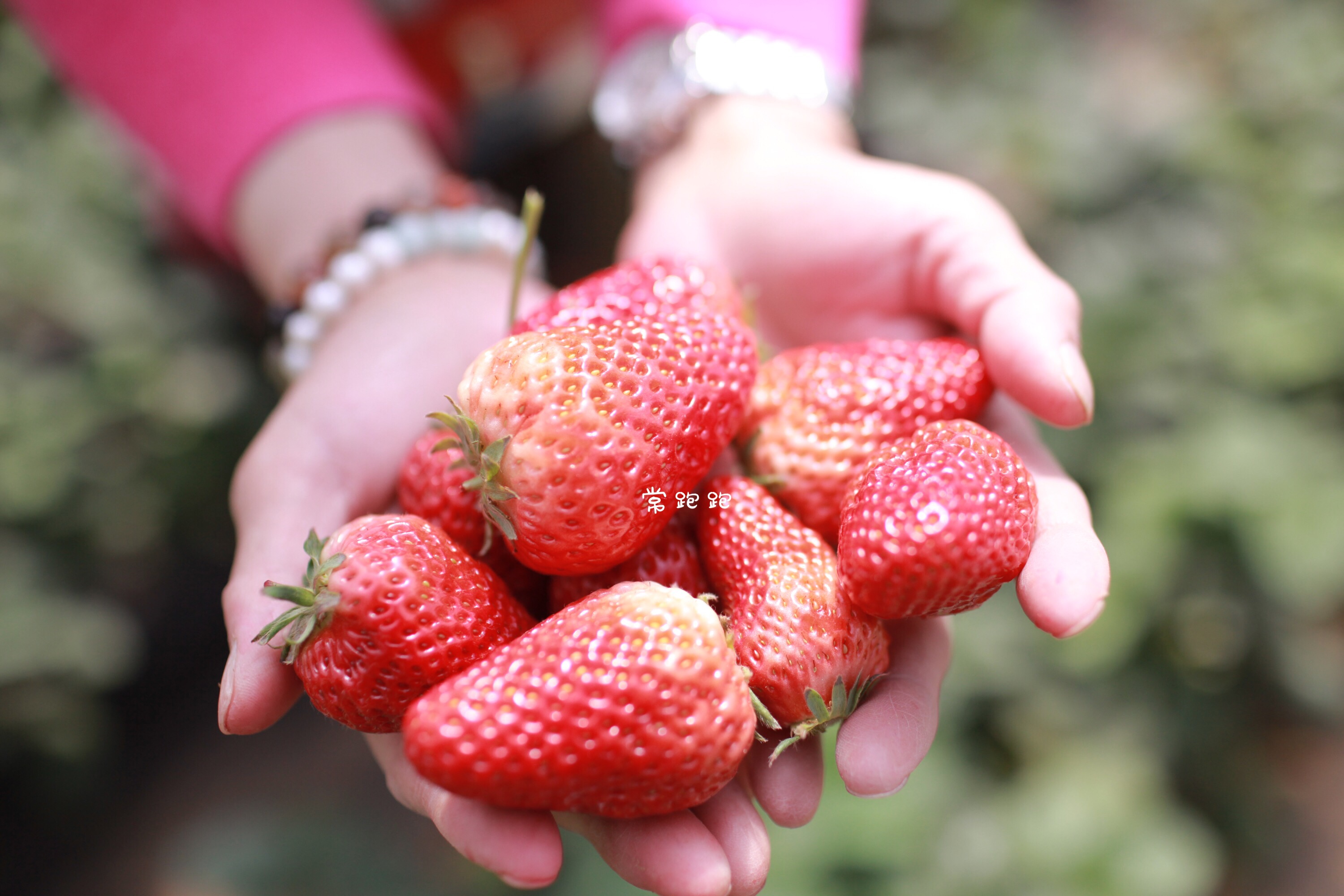 倚山傍水好地方,倚山傍水