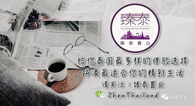 暹罗斗鱼——色与美的战舞