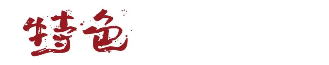 8090年代中国恐怖电影解说,国产恐怖电影定律