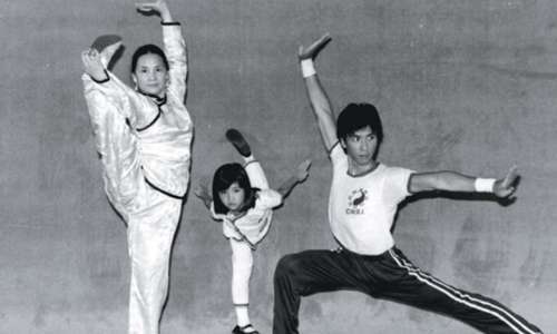 李连杰和甄子丹对比照,李连杰和甄子丹的成长历程