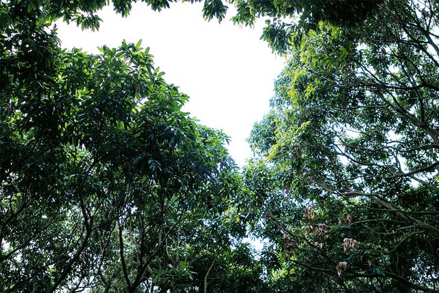 深圳最适合亲子游的好去处,深圳周末家庭游玩好去处