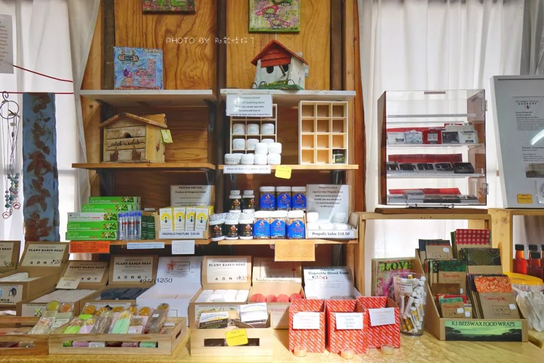 赴澳洲需要买的东西,去澳洲探亲要提供无犯罪记录吗