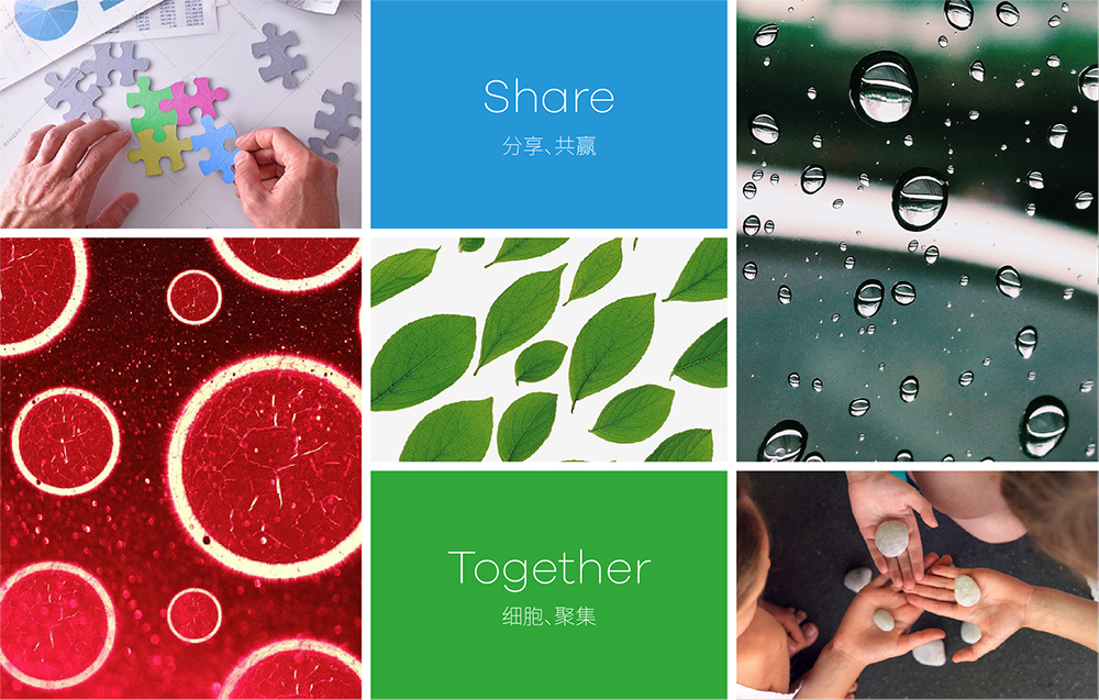 中国特许加盟网官网,中国特许加盟网官网联系电话