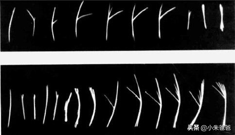 宝宝吃鱼的正确方法和注意事项,宝宝吃鱼更聪明这样吃才更健康