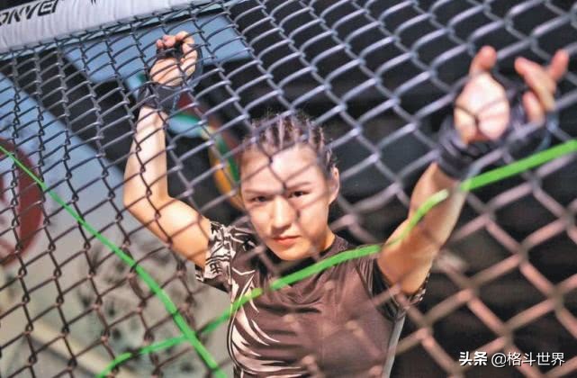 张伟丽中国最强拳迷,张伟丽五十拳