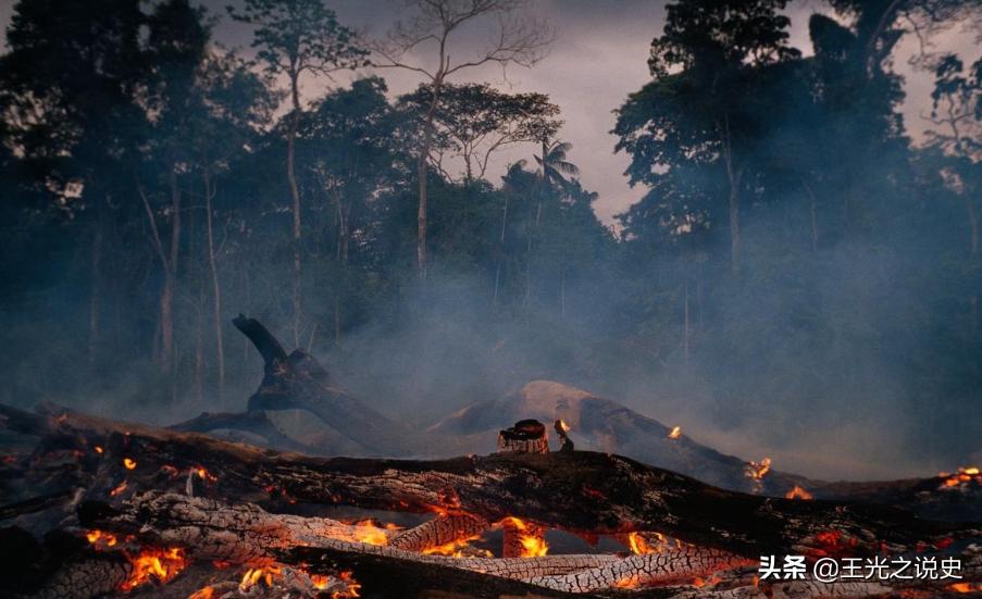 巴西一手好牌打得稀烂,巴西如何把一手好牌打烂