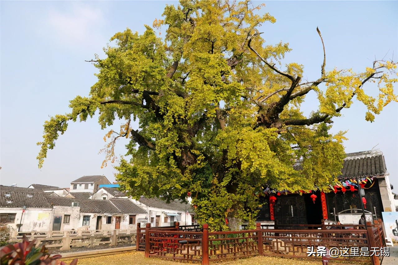 无锡七条老街,无锡值得逛的老街