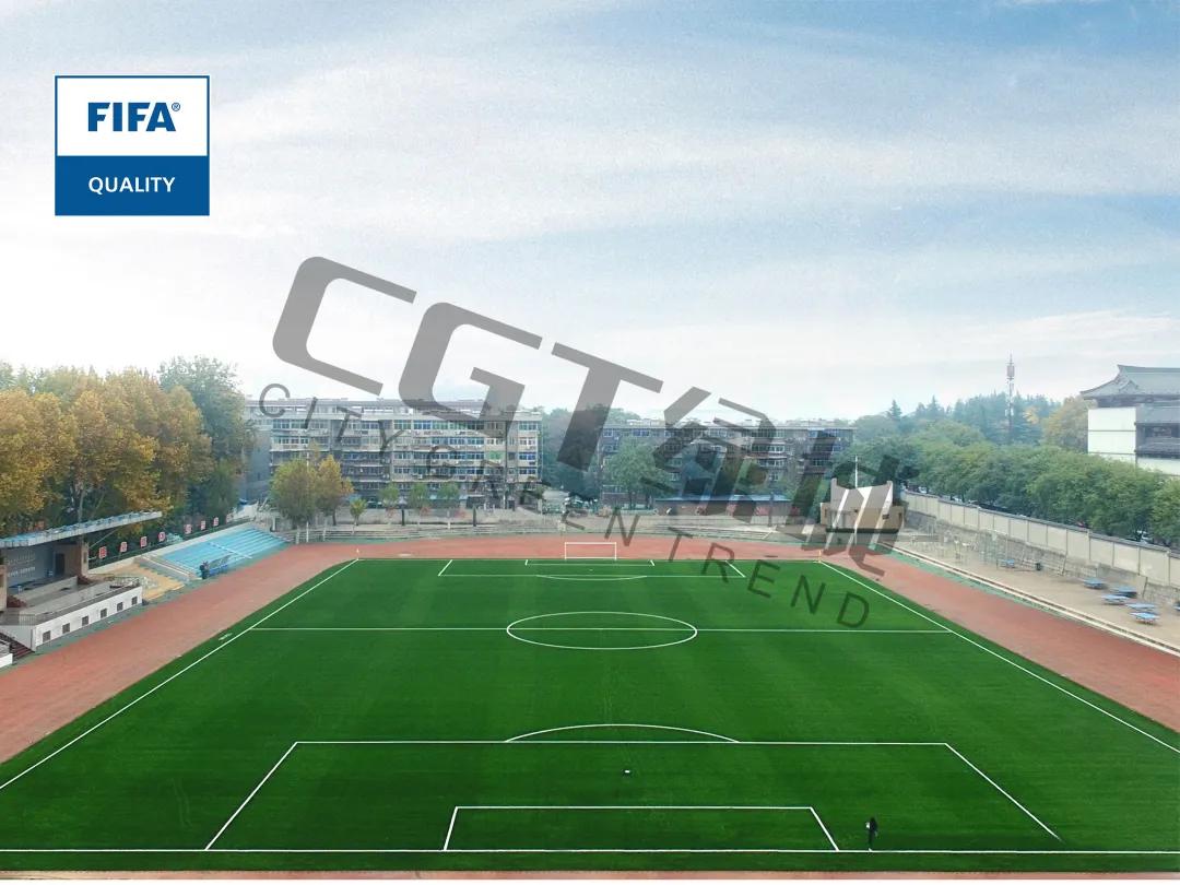 cgt缁垮煄鑻辫秴,cgt缁垮煄浣撹偛浜т笟闆嗗洟