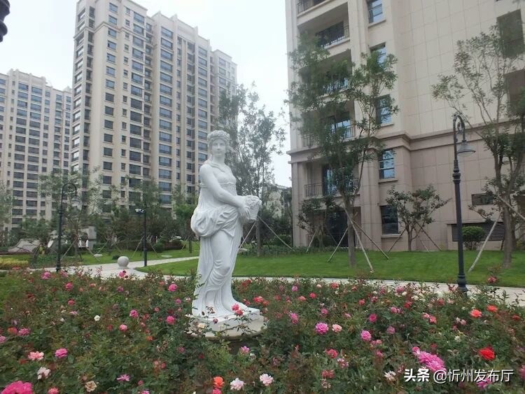 忻州国力花园二期在哪个位置,忻州国力花园五期和国力新城二期