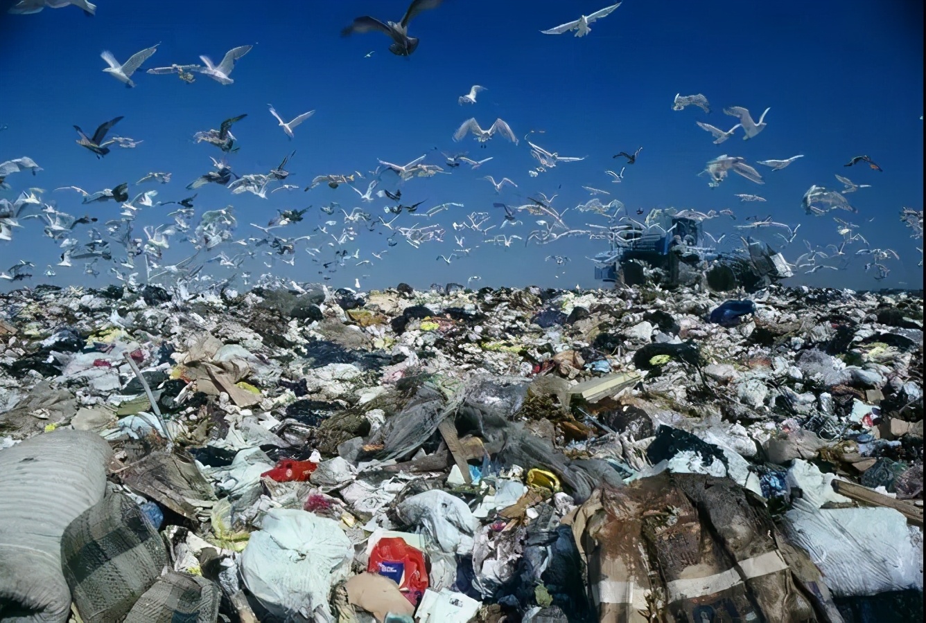 日本排放核污水发现大量死鱼,日本排放核废水被发现