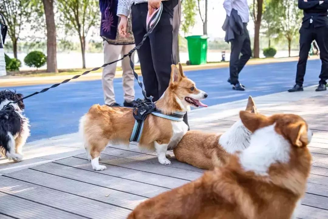郑州周边适合春天去的地方,郑州适合骑行的公园