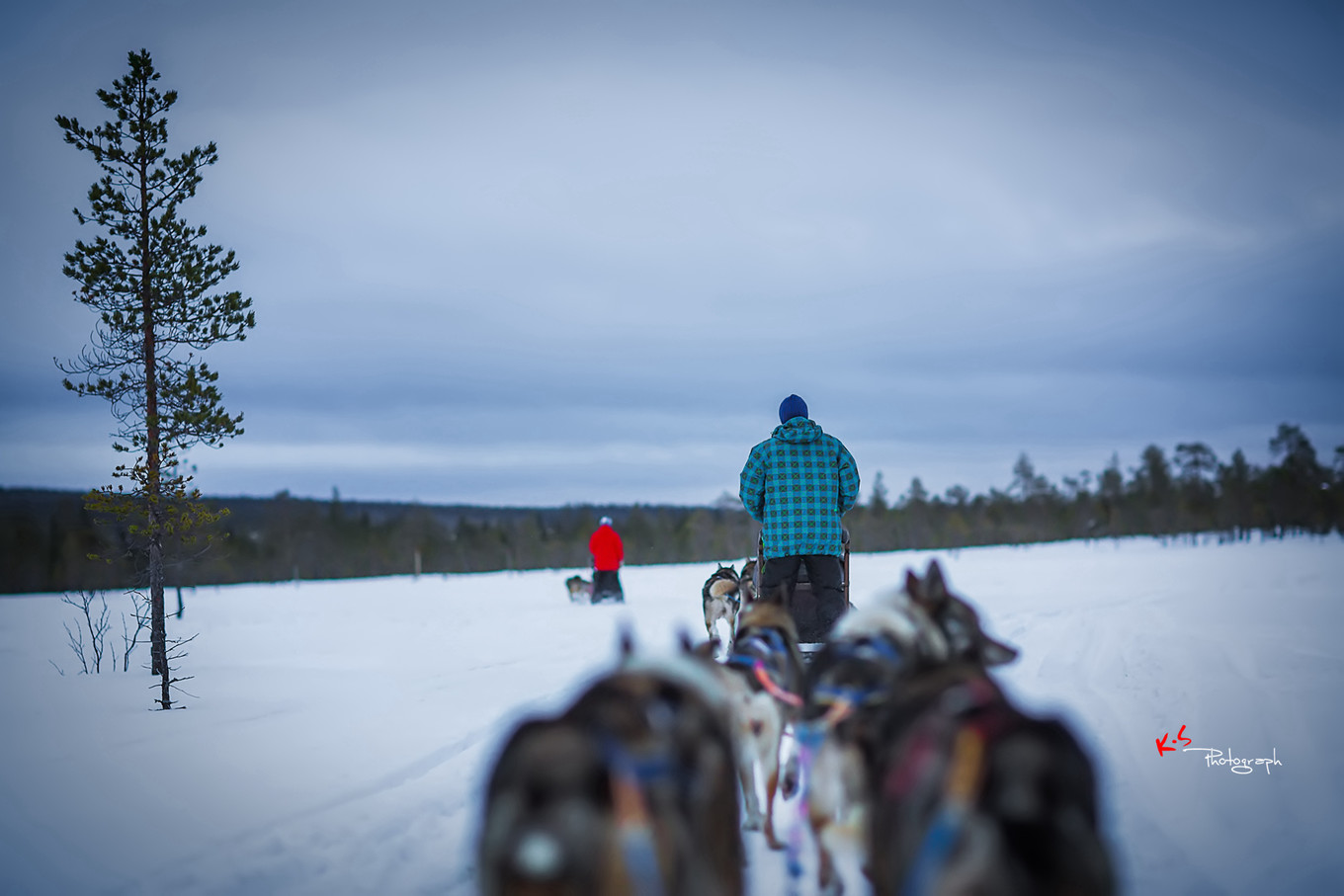 果小姐的慢生活烤鸡腿,果小姐的慢生活泰州