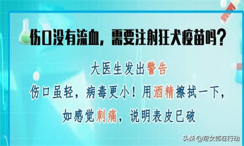 伤口没有出血要消毒吗,被狗咬了没有流血要打狂犬疫苗吗