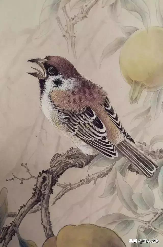 陈松岩工笔白描画全集,陈松岩工笔国画