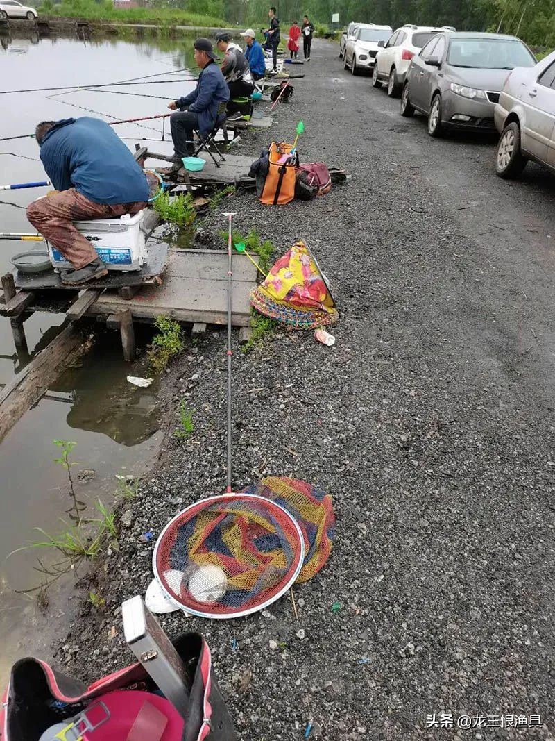 黑坑大鲤视频大全,黑坑战大鲤最新消息