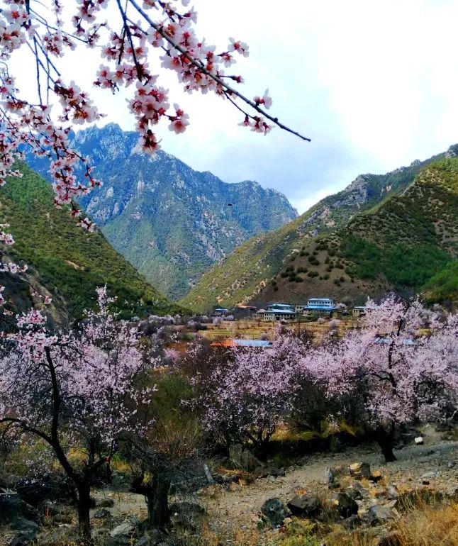 洛克徒步木里到稻城翻的是哪座山,秘境四川甘孜