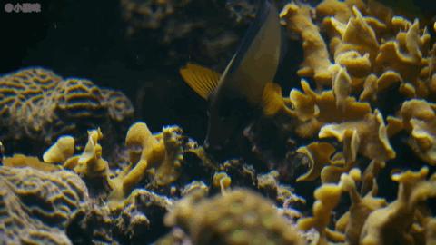 全国数万条家庭视频曝光,非典型纪录片