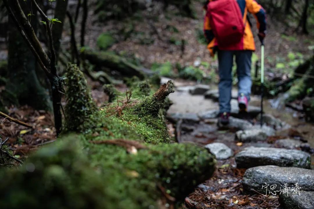 “5”缘有缘我与摄影的故事也是我与佳能“5”的故事