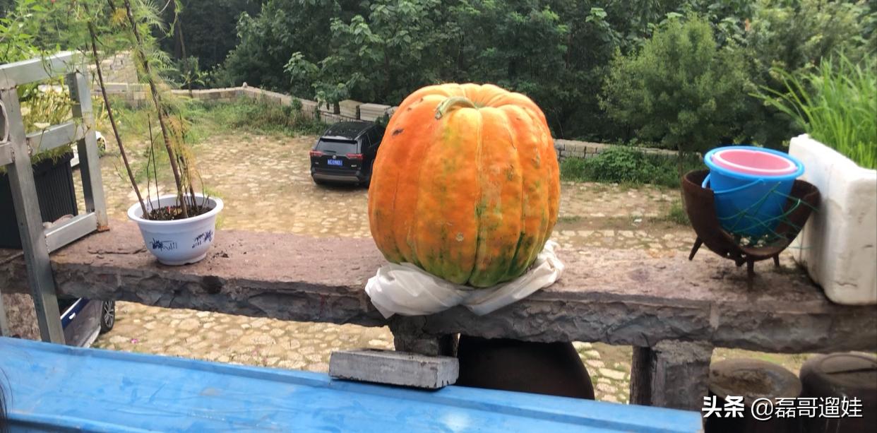 济南海拔最高的民宿,济南海拔最高山顶民宿