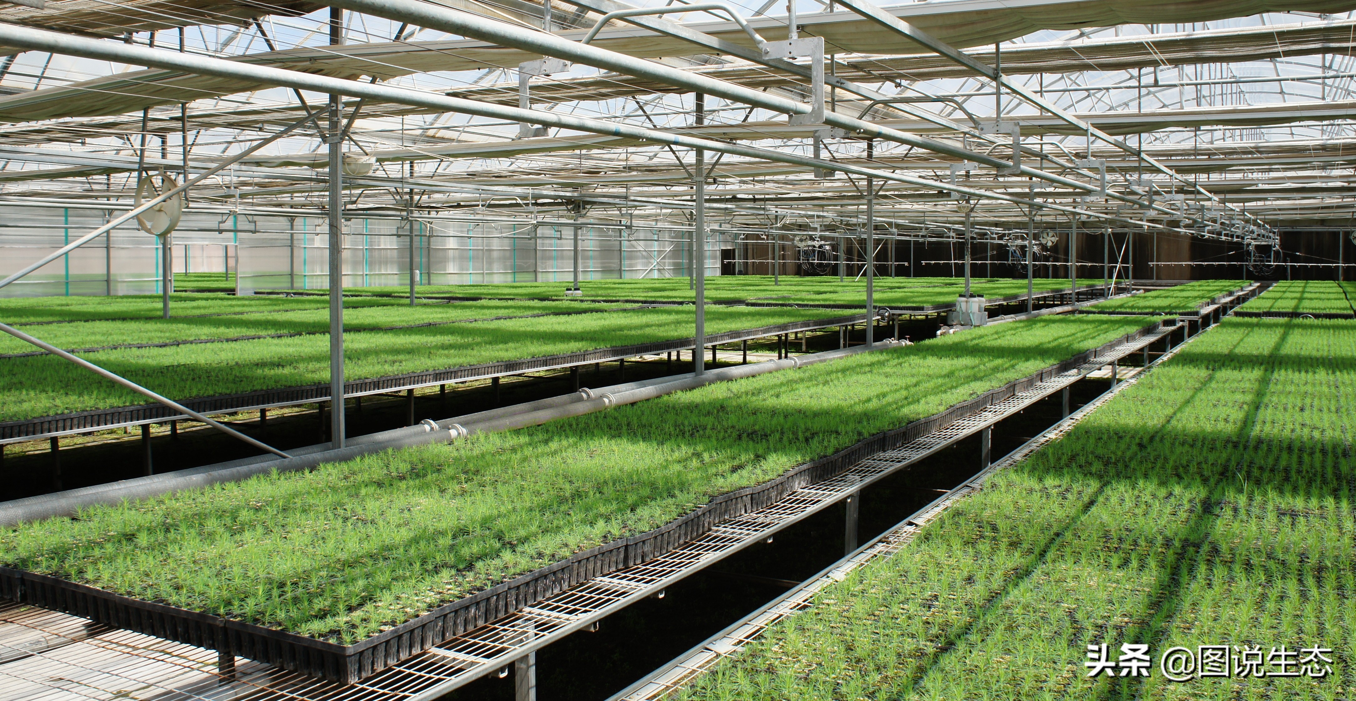 20年风雨治沙路，绿水青山秀丰宁