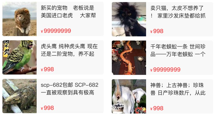 闲鱼上卖的神兽,闲鱼卖各种奇葩物品