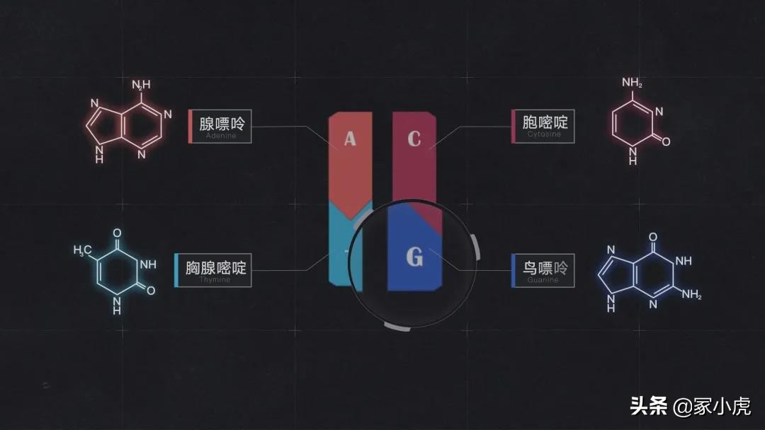 外周血能确定亲子鉴定准确性吗,亲子鉴定99%能确定吗