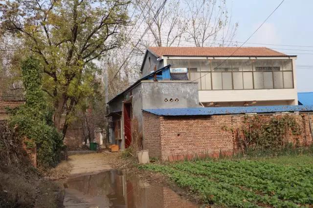 故事：继父疼我爱我二十年，我却连“爸爸”也没叫一声，实在太愧疚了