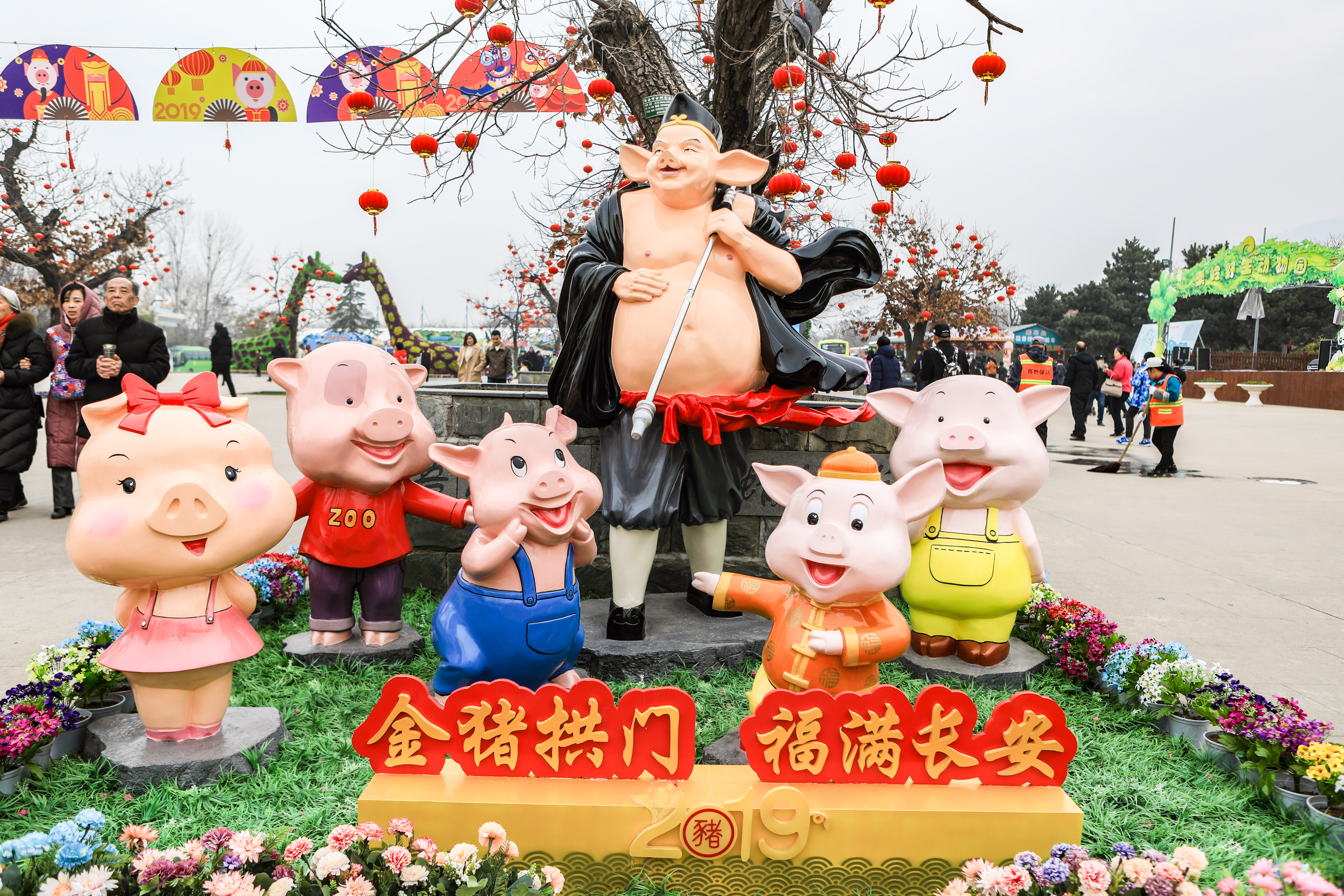 中国最大的东北虎野生动物园,秦岭野生动物园可以喂老虎么