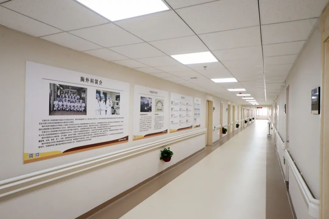 石家庄省人民医院周边,石家庄人民医院附近景点