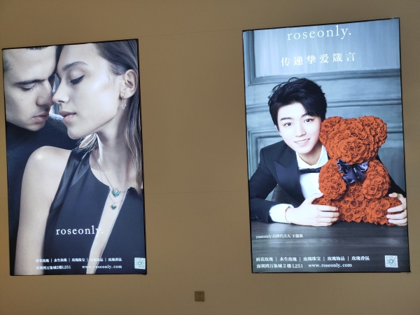 深圳免费花艺展,深圳花艺展