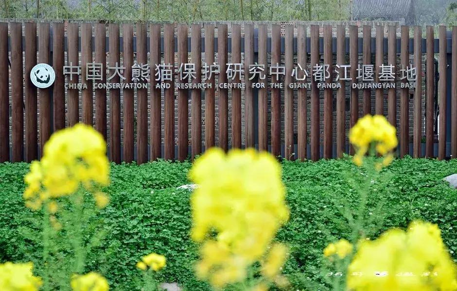 六一儿童节火车,六一快乐专列