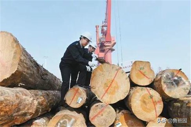 用溴甲烷熏蒸地多长时间效果最佳,溴甲烷熏蒸什么时候取消